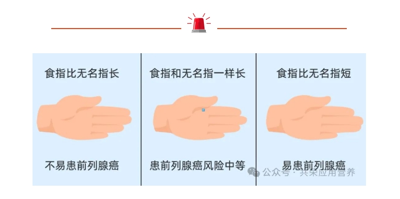 250313-7.png